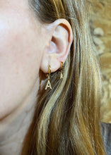 Carica l'immagine nel visualizzatore di Gallery, Mary Hoop